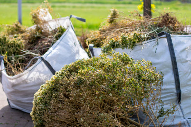 Reliable Hammond, WI Junk Removal Services Solutions