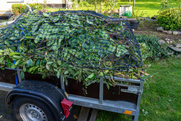 Best Yard Waste Removal  in Hammond, WI